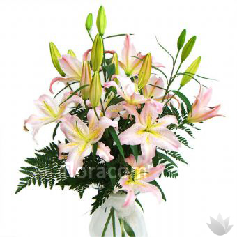 Mazzo di lilium colorati