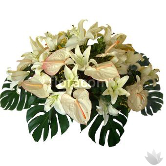 Centrotavola anthurium e lilium