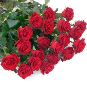 Scegli quante Rose regalare