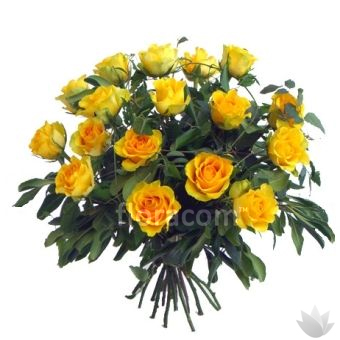 Bouquet di rose gialle 
