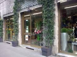 Foto Carbognin srl 